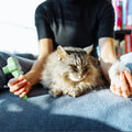 Furmello Pet Grooming Comb — Dual-Action Flea & Hair Removal for Every Coat